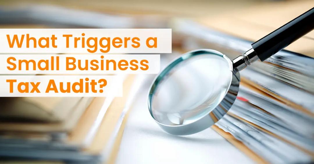 What Triggers a Small Business Tax Audit?