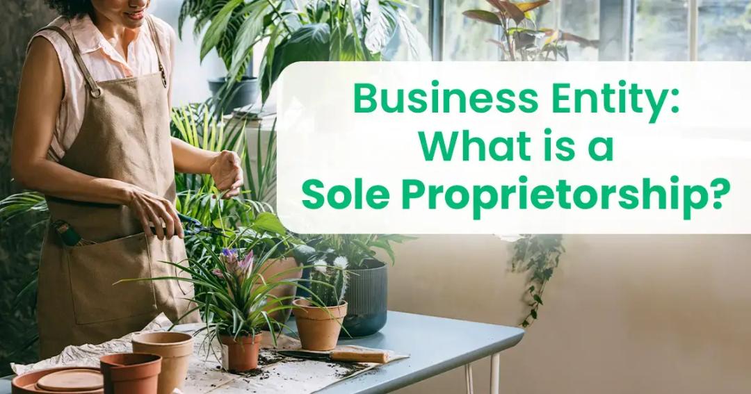 What is a sole proprietorship business entity?