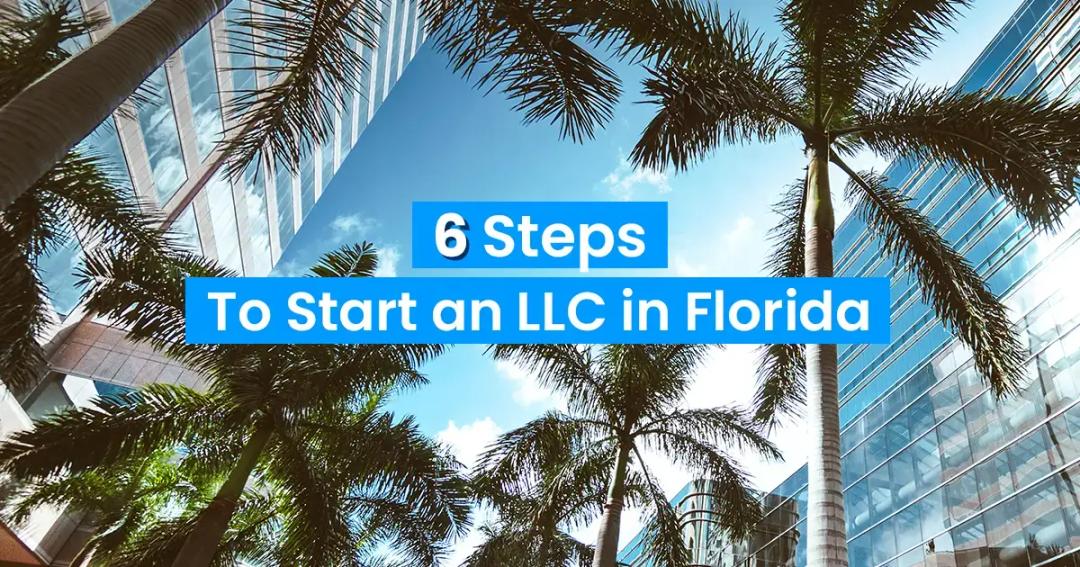 6 steps to start an LLC in Florida with palm trees and buildings in the background,